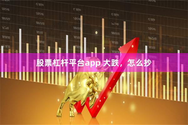 股票杠杆平台app 大跌，怎么抄